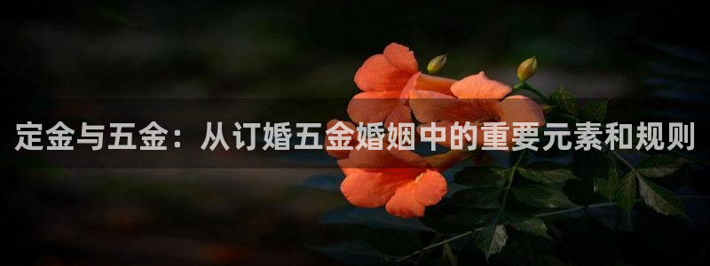 天狮娱乐来0 1311