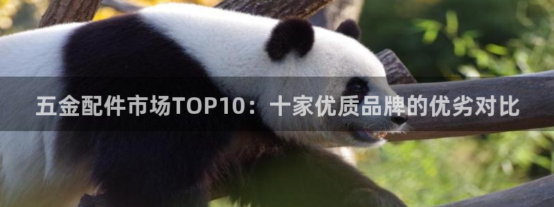 天狮娱乐怎么代理