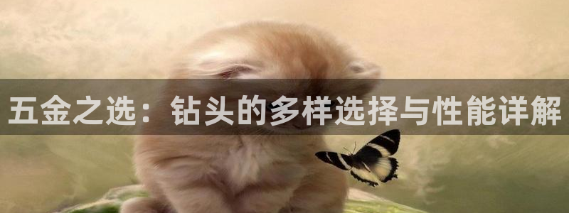 天狮平台娱乐