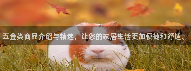 天狮会娱乐KTV会所怎么样