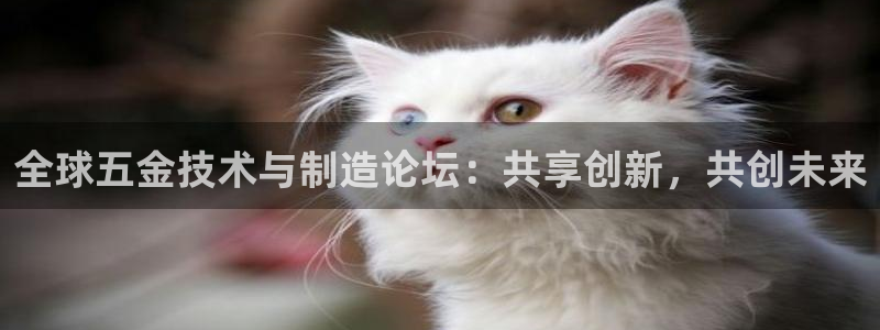 天狮娱乐然