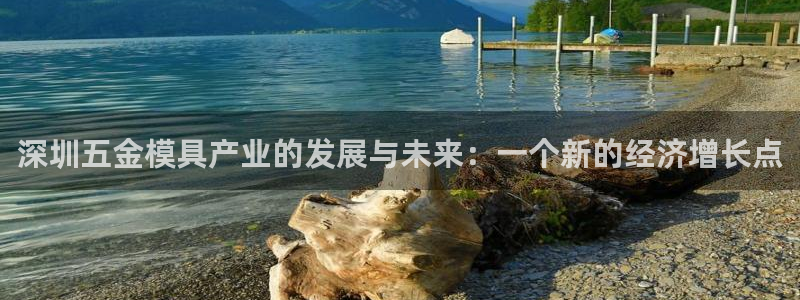 天狮娱乐 股31661东r