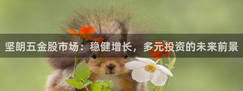 天狮娱乐里