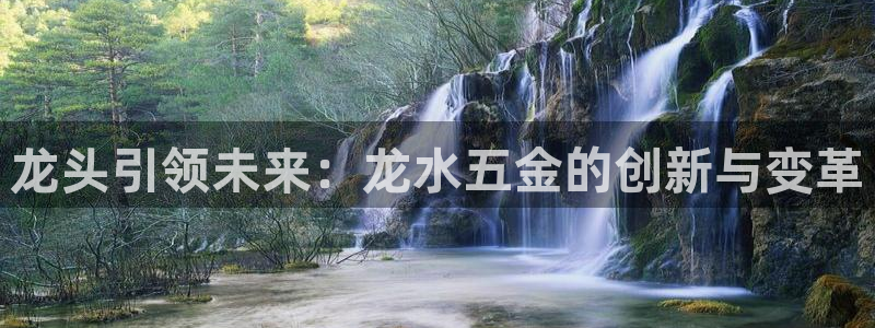 天狮娱乐强哥