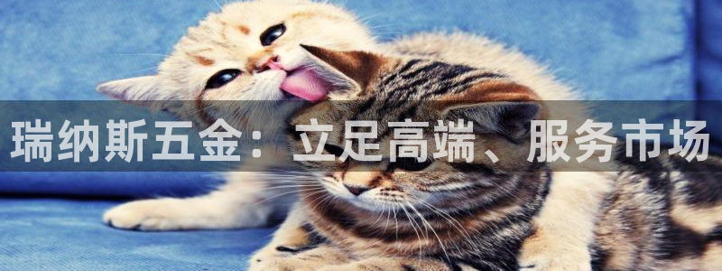 娱乐狮天