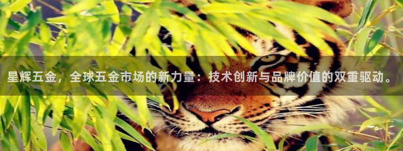 天狮娱乐代理怎么做