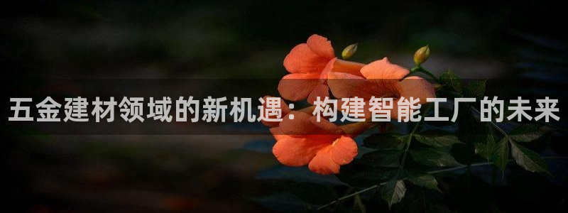 天狮娱乐专线