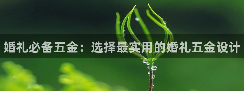 天狮娱乐所