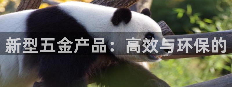 天狮娱乐运营29229