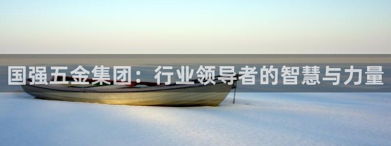 天狮娱乐挂机软件