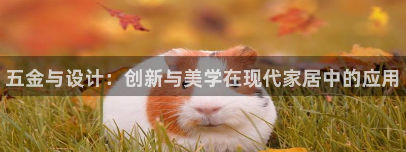 天狮娱乐138