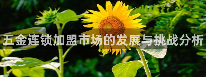 天狮娱乐 b主管61166