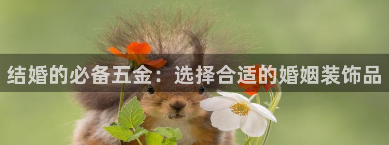天狮娱乐j 判官