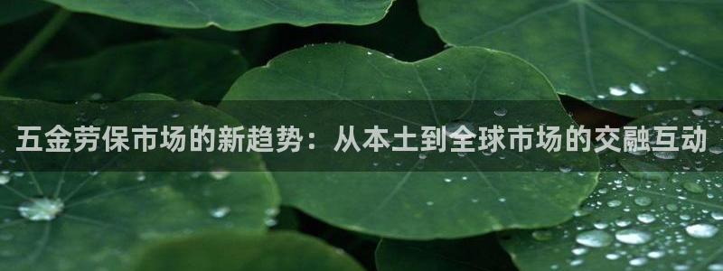 天狮娱乐 接待 0