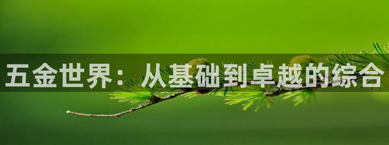 天狮娱乐家